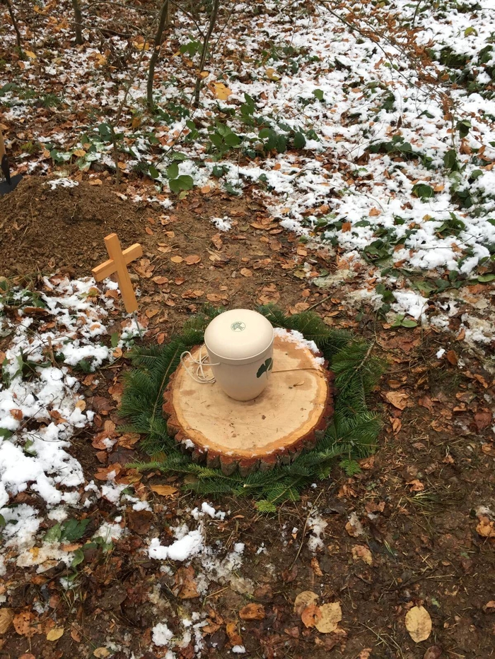 Waldbestattung im Biberach Burrenwald