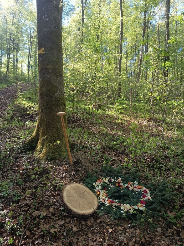 Waldbestattung im Burrenwald bei Biberach